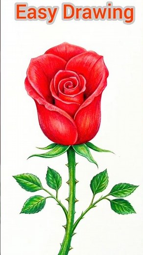 How to Draw a Beautiful Rose | Easy Tutorial by Easydrawing57🌹✨ #rose #rosepainting #beautifulroses