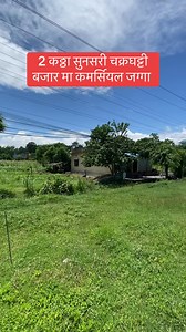 2 कठ्ठा | सुनसरी चक्रघट्टी बजार मा कमर्सियल जग्गा | सस्तो बिक्रिमा | 82 ft बाटोमा | Direct owner 9842052283 #RealEstateNepal #bhubanthapa | Bhuban Thapa