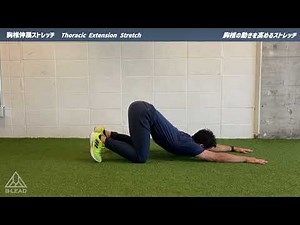 胸椎伸展ストレッチ｜Thoracic Extension Stretch｜胸椎の動きを高めるストレッチ