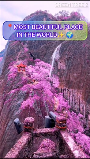 📍Most beautiful place in the world🌳✨ l #butiful #nature