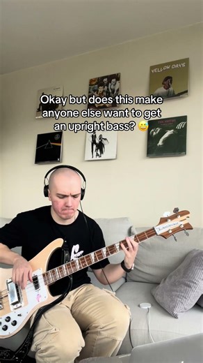 Mr Krinkle - Primus bass cover #bassguitar #bass #cover #basscover #primus #lesclaypool