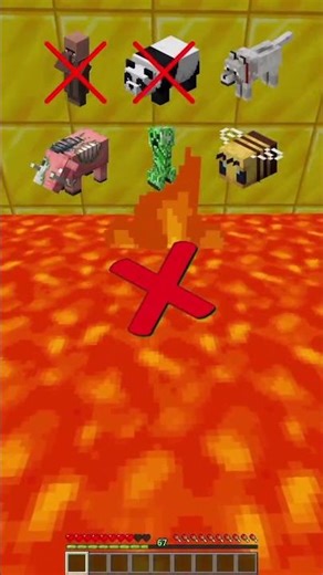 creeper vs dog।। #shortsfeed