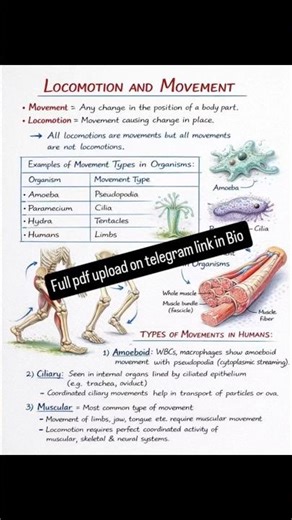 📘 Locomotion & Movement | NEET Biology ✍️ #Shorts #YouTubeShorts #ShortsFeed #Trending