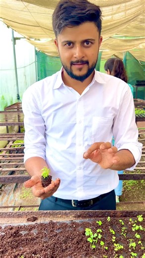 Sonu Kumawat on Instagram: "🌱🪴Nursery💐🪴🌱 The pro-tray nursery technique is a method of raising seedlings in plastic trays with individual cells, often using soilless media like coco-peat. This method is known for producing high-quality, pest-free seedlings with uniform growth and better root development. It minimizes transplant shock and mortality, and is particularly useful for vegetable seedling production #nursery #plantnursery #agriculture #farmer #far