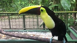 73K views · 128 shares | My dream came true when I got to feed and...