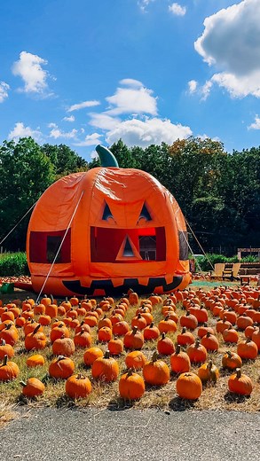 FOUR FALL NJ DAY TRIPS 🎃 NJ THINGS TO DO 🍂 here are four New Jersey day trips to take in the fall! These NJ farms and NJ attractions are some of my favorite ways to spend a fall day! They also have tons of NJ restaurants, NJ breweries and things to nearby. @twinpondfarmnj in Howell, NJ has so many attractions from hayrides to pumpkin picking and AMAZING donuts! @wightmanfarms in Morristown, NJ is an awesome farm and has so many attractions for some NJ family fun! @gaskosfamilyfarm is the best 