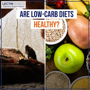 498 reactions · 221 shares |  Tons of Americans currently on 'low-carb' lifestyles, believing it's a healthier way to eat. But, is it? Best-selling dietary author & creator of Lectin Shield, Dr. Steven Gundry, provides powerful new insights on the low-carb debate, and its effect on digestive health, metabolism & weight. Get the key to eating for wellness now.  bit.ly/GundryLS | Lectin Shield | Facebook