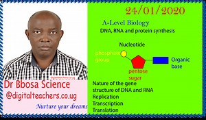 DNA, RNA and protein synthesis (A-level biology) - Digital Teachers Uganda