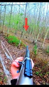 “INSANE GoPro Deer Shot — Unreal Close-Range Hunting Moment!” 🐗🐗