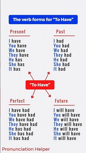 The Verb Forms “To Have” in English Grammar