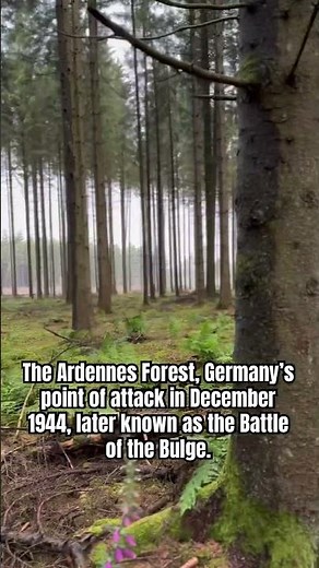 Ardennes Forest, Germany’s point of attack in December 1944, later known as the Battle of the Bulge