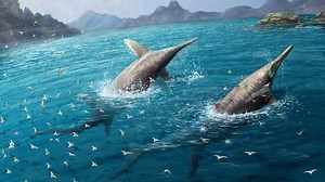 UK beach unearths Triassic fossils of giant ichthyosaur - Interesting Engineering