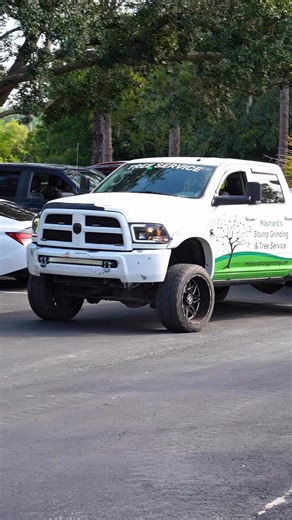 🌳 Take Back Your Yard — Without the Headache Central Florida trees grow fast, wide, and wild. When your property starts feeling overgrown or unsafe, Maynard’s Stump Grind & Tree Service is ready to handle it. 🌿 Our Services Include: • 🌲 Safe removal of unwanted or dangerous trees • ⚙️ Stump grinding to clear space and prevent trips and falls • 🌾 Brush and lot clearing to open up your property • 🧹 Storm debris cleanup with full removal included Local professionals. Honest pricing. Clean resu