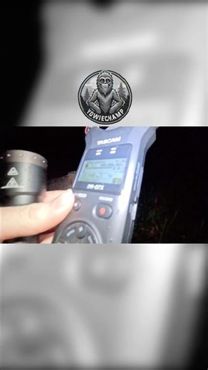 Getting the audio recorder up and running. #yowie #bigfoot #shorts