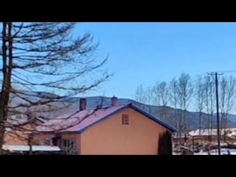 外地人为啥爱到伊春大西林买房？带你去看看，也许你也会爱上！ #美丽农村 #山里 #山村生活 #最美村庄