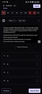 A tissue sample observed under a microscope shows multinucleate... | Filo