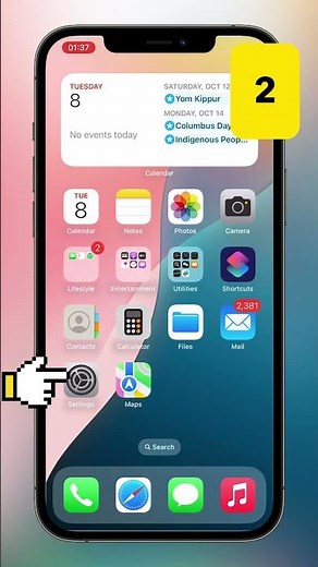 iPhone Safari You NEED to Know - How to delete safari history completely