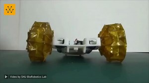 28K views · 328 reactions | The word, origami, comes from the...