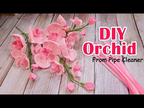 Easy DIY Flower || How To Make A Beautiful ORCHID From Pipe Cleaner