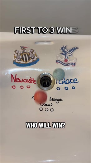Newcastle United vs Crystal Palace - Premier League #newcastle #newcastleunited #palace #crystalpalace #premierleague