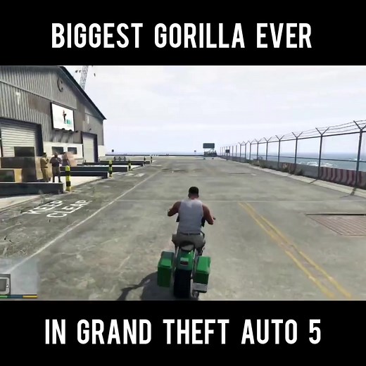 Biggest Gorilla Ever Found in GTA 5 !! | The Game Debugger