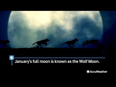 Wolf Moon Rises Tonight, the First Full Moon of 2024 | AccuWeather