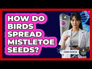 How Do Birds Spread Mistletoe Seeds?