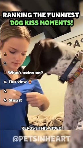 RANKING THE FUNNIEST DOG KISS MOMENTS! 🐶💋 #shorts #funny