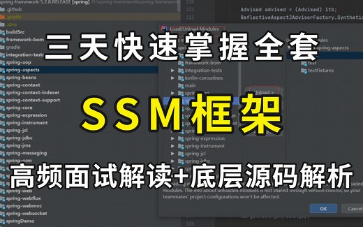 三天快速掌握全套SSM框架，高频面试解读 底层源码解析，SSM框架其实很简单！