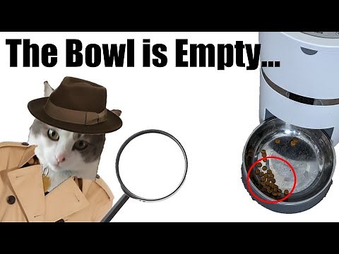 Shadows of Doubt: An Immersive Detective Sim