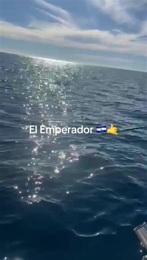 Cesar Ramos (@cesarramos537)’s videos with original sound - ProLatinRemix