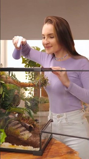 DIY Lizard habitat: step-by-step guide! 🦎🏠