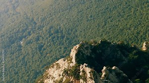 Forests in the dry subtropics in the Northern mountainous shore of the Black sea and seaside villages. Top view