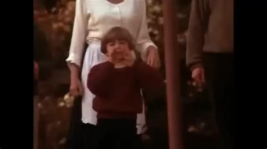 A History of Dogs on Instagram: "The last scene from the 1993 film “Homeward Bound: The Incredible Journey.” The movie was a remake of the 1963 film “The Incredible Journey,” which was based on the 1961 novel of the same name by Sheila Burnford. Chance and Shadow were each played by four dogs, and Sassy was played by 10 cats. The three animals were voiced by Michael J. Fox, Sally Field and Don Ameche. The film grossed $57 million worldwide and was followed in 1996 by a sequel."