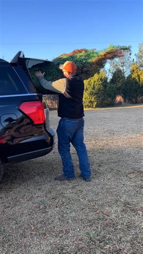 17 reactions | Cedar Post Tree Farm is where we have gone every year since Beau was born to get our real Christmas tree 﫶✨❤️ | Biscuits n’ Bakin’ | Facebook