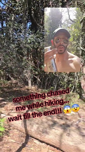 Hiking Encounter: What Chased Me in the Mountains