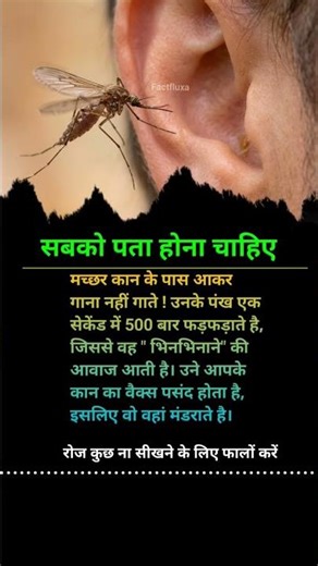 Best success business motivation | #success 🍃