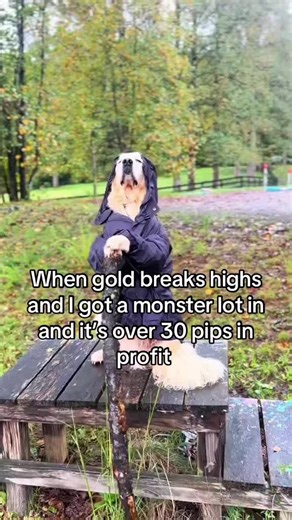 Ditgial plantation (@tjscoperatecredit1)’s videos with original sound - Ditgial plantation