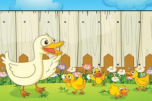 La danse des canards