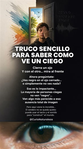 HAZ ESTE TRUCO y entenderás cómo ve un ciego 😳 #Ceguera #CerebroHumano #Neurociencia #Ciencia