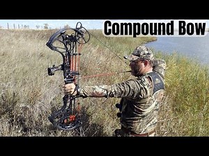 Best Compound Bow of 2025 – How to Choose the Perfect Compound Bows!
