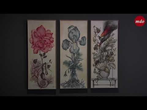 Wunderkammer: entramos en el universo imaginario de Ana Juan