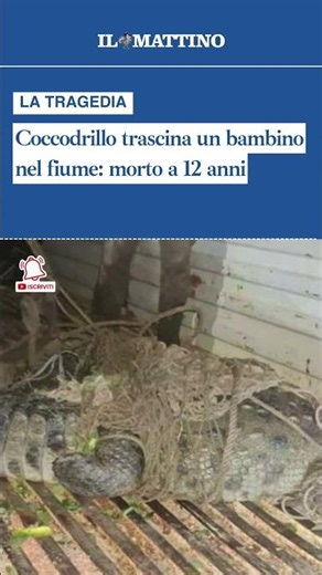 Coccodrillo trascina un bambino nel fiume: morto a 12 anni