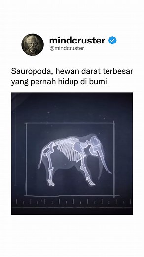 431K views · 6.2K reactions | Sauropoda adalah kelompok dinosaurus...