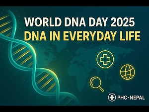 World DNA Day 2025: DNA in Everyday Life