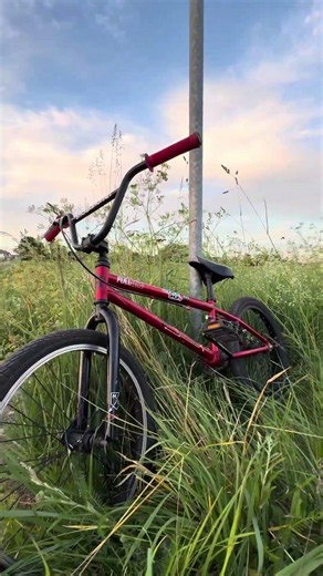 #edit #bikelife #bmx
