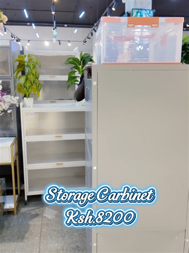 Affordable Storage Cabinet for Home Organization
