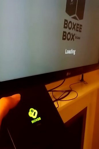 Boxee problem / flashing red green / no recovery