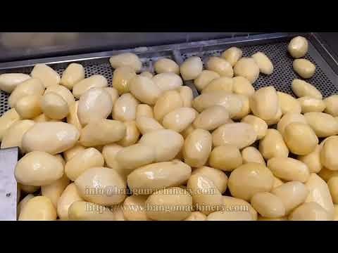 Full Automatic Potato Peeling Machine for Commercial and Industrial Use #potatopeelingmachine