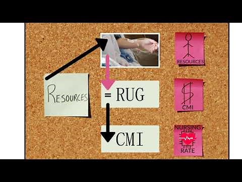 RUGs & CMI 101